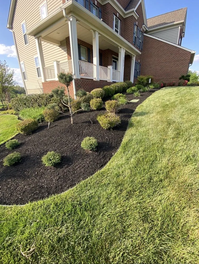 Custom yard maintenance in Manassas, VA - Morales Construction