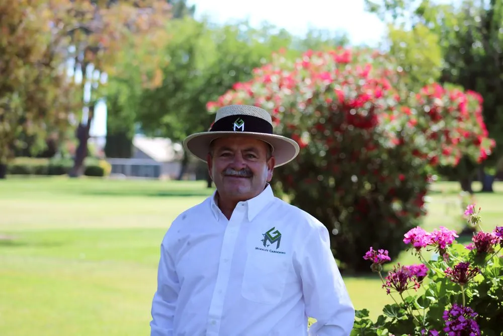 Reliable landscape design in Colusa, CA - Morales Gardening & Landscape Construction