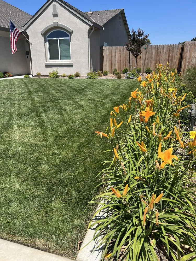 Top-rated landscape design for homes in Colusa, CA by Morales Gardening & Landscape Construction