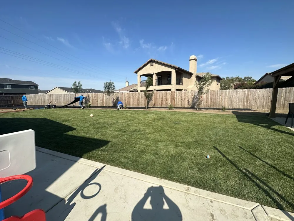 Local yard maintenance experts serving Colusa, CA - Morales Gardening & Landscape Construction