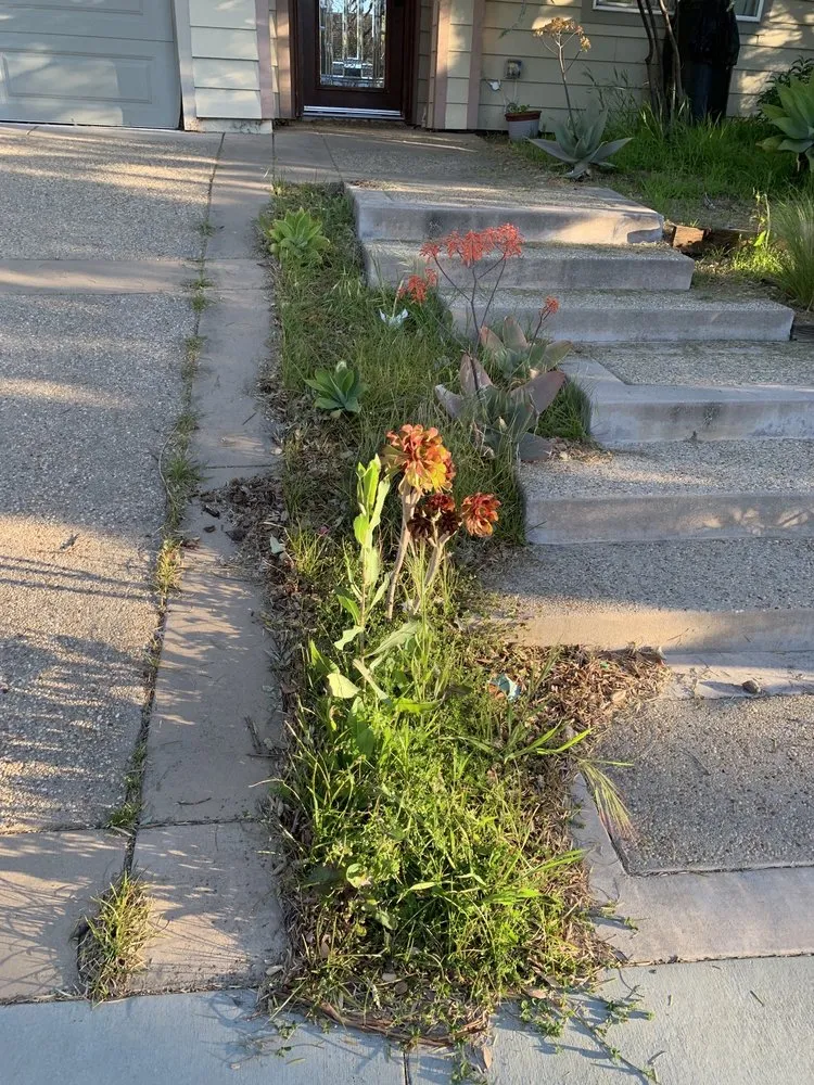 Professional landscaping services for homes in Santa Clarita, CA by Morales General Construction