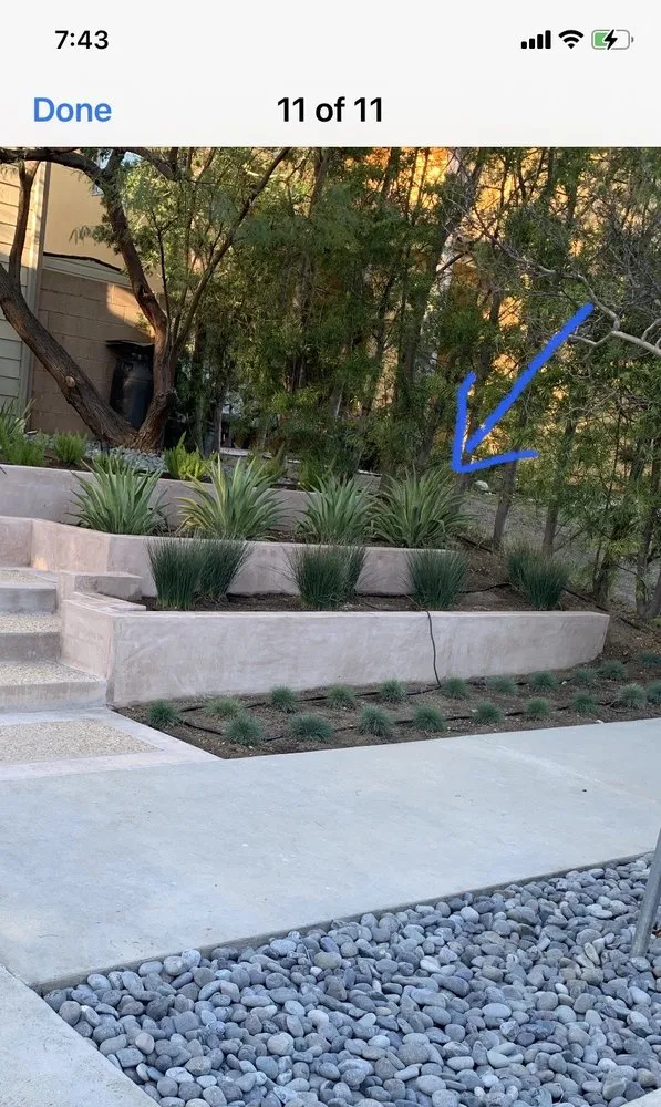 Affordable lawn care service in Santa Clarita, CA by Morales General Construction