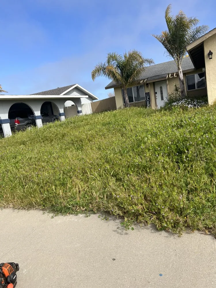 Local yard cleanup service in Santa Maria, CA - Morales Landscape And Maintenance