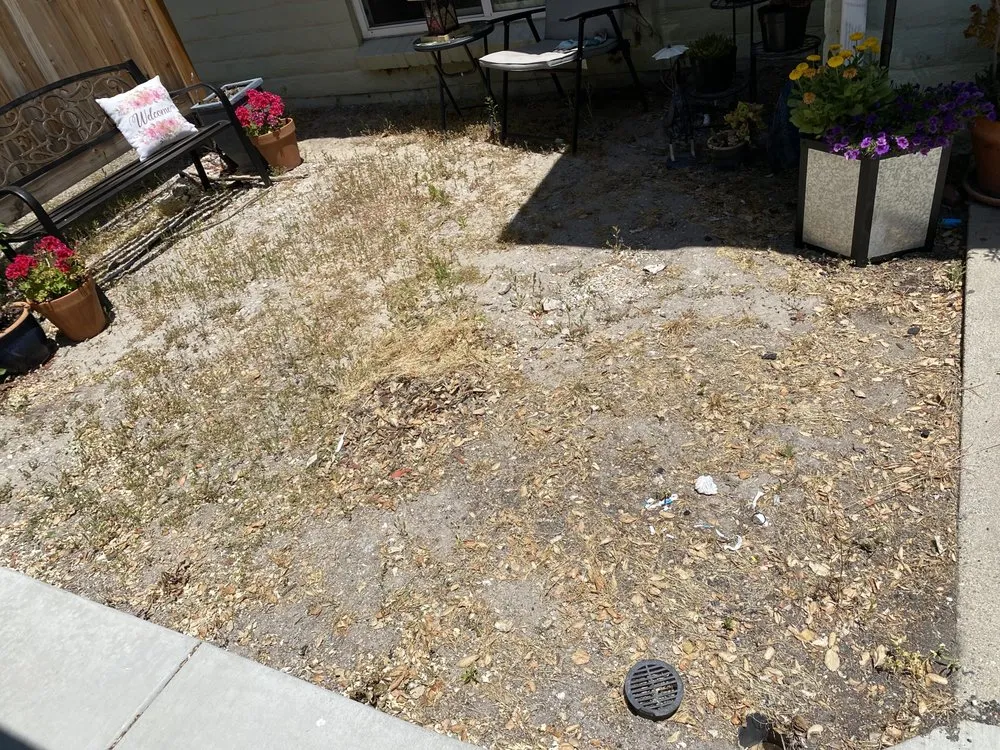 Top-rated yard maintenance in Santa Maria, CA by Morales Landscape And Maintenance