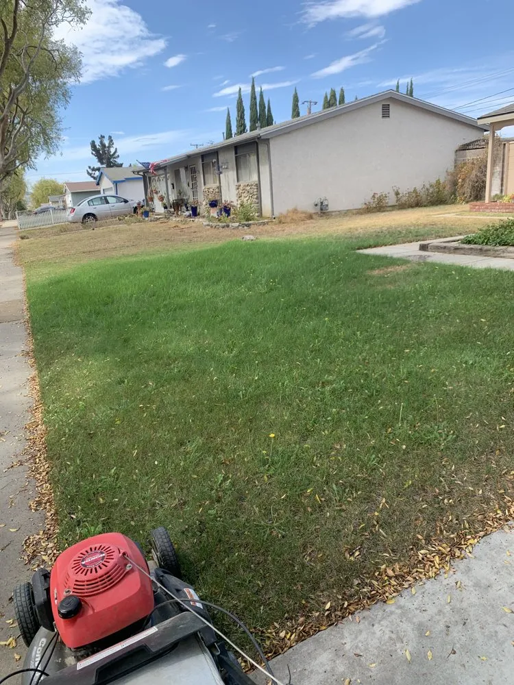 Expert landscape design in Santa Maria, CA - Morales Landscape And Maintenance