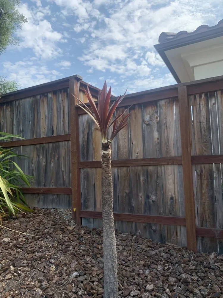 Affordable landscape design in Santa Maria, CA by Morales Landscape And Maintenance