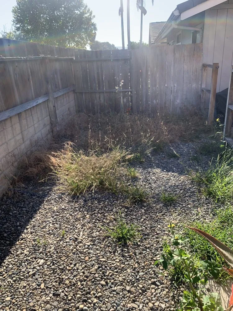 Local yard cleanup service experts serving Santa Maria, CA - Morales Landscape And Maintenance