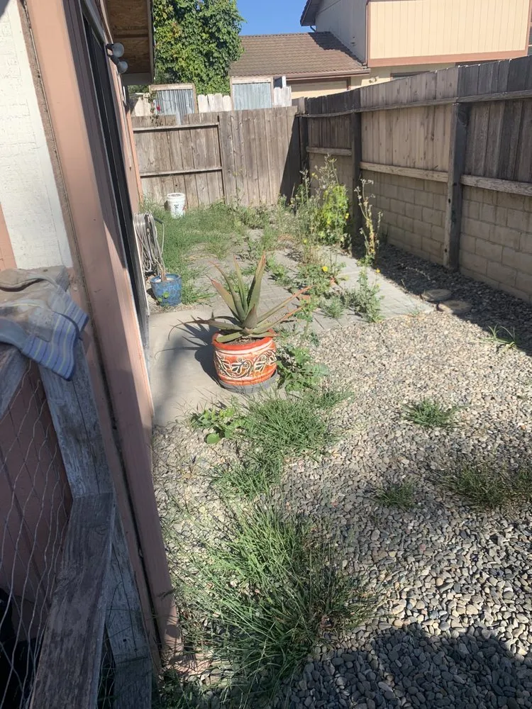 Reliable landscaping services for beautiful yards in Santa Maria, CA by Morales Landscape And Maintenance