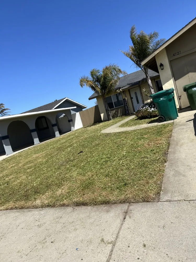 Professional yard maintenance experts serving Santa Maria, CA - Morales Landscape And Maintenance