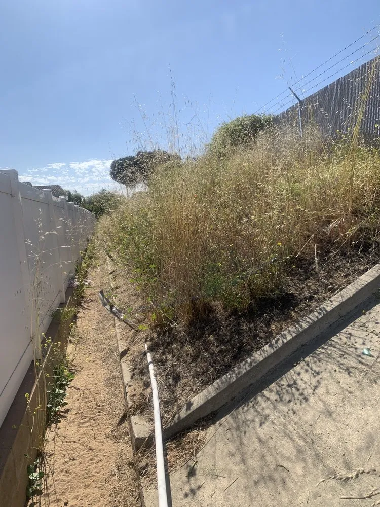 Professional yard cleanup service for homes in Santa Maria, CA by Morales Landscape And Maintenance