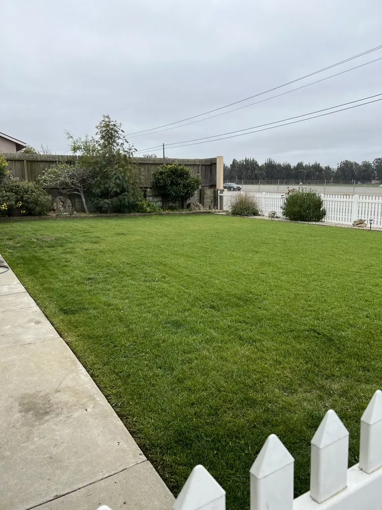 Top-rated landscape installation for year-round maintenance in Santa Maria, CA by Morales Landscape And Maintenance