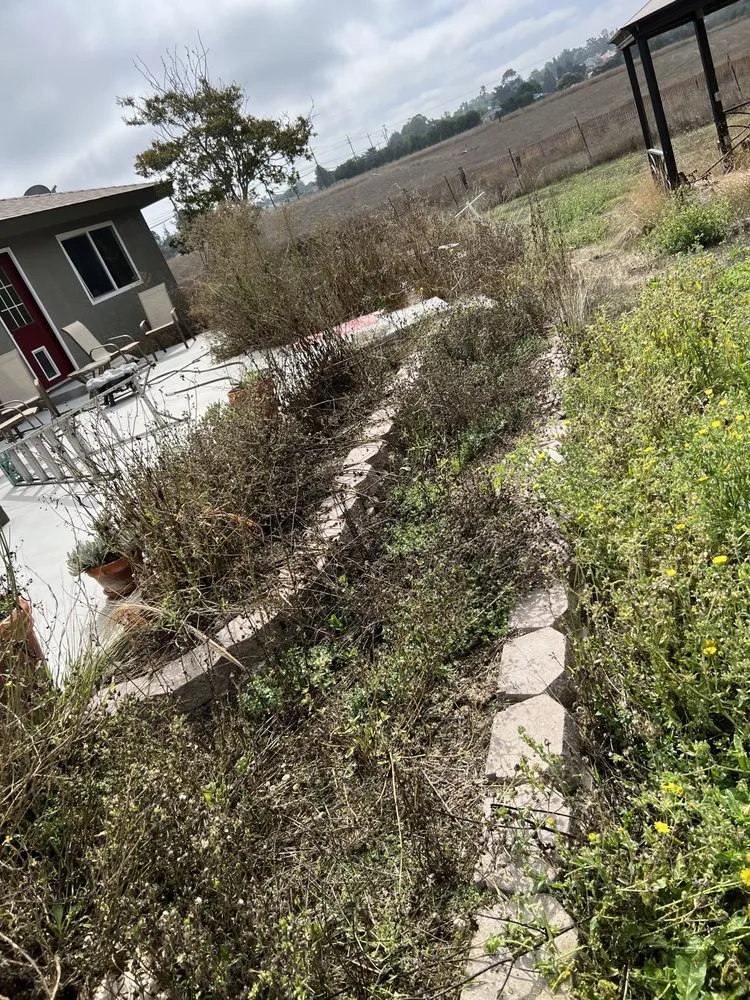 Professional landscaping services for year-round maintenance in Santa Maria, CA by Morales Landscape And Maintenance