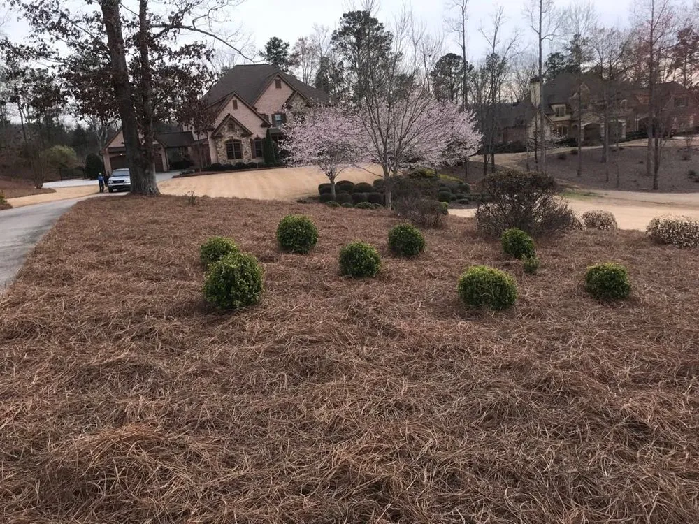 Trusted residential landscaping in Atlanta, GA by Morales Landscape