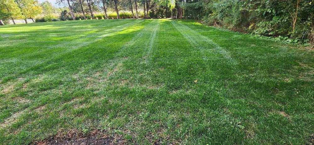 Reliable landscaping services for homes in Columbus, OH by Morales Landscape