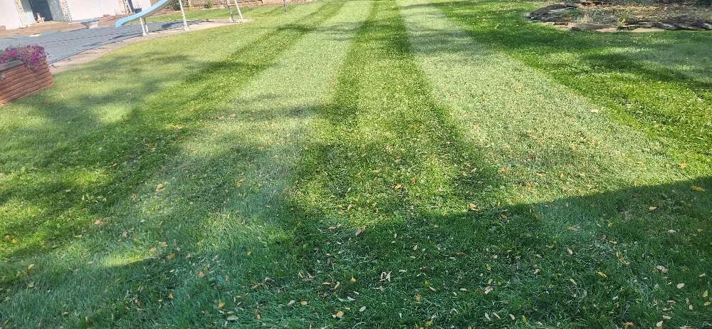 Local lawn mowing service in Columbus, OH by Morales Landscape