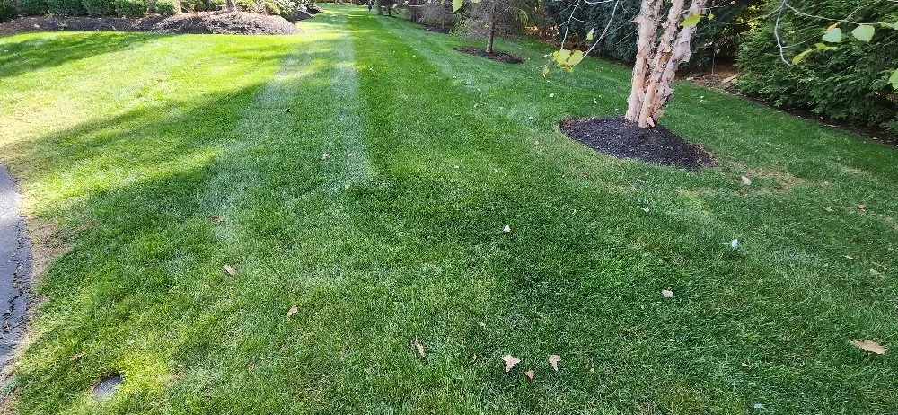 Local landscape design for residential properties in Columbus, OH by Morales Landscape