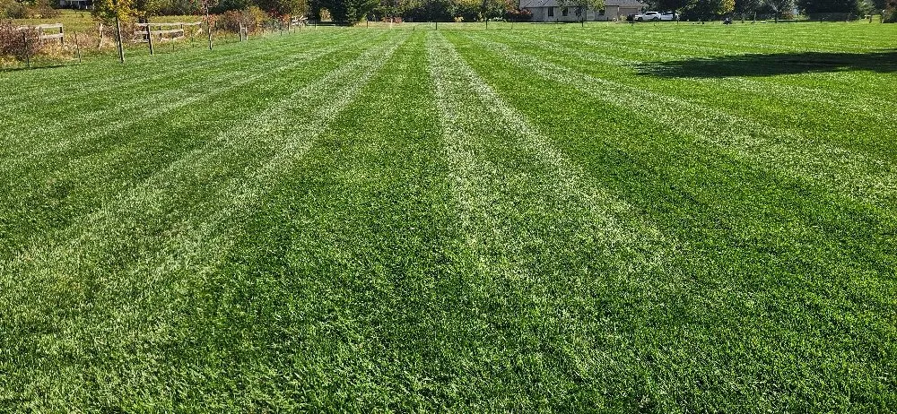 Expert landscape installation for year-round maintenance across Columbus, OH - Morales Landscape