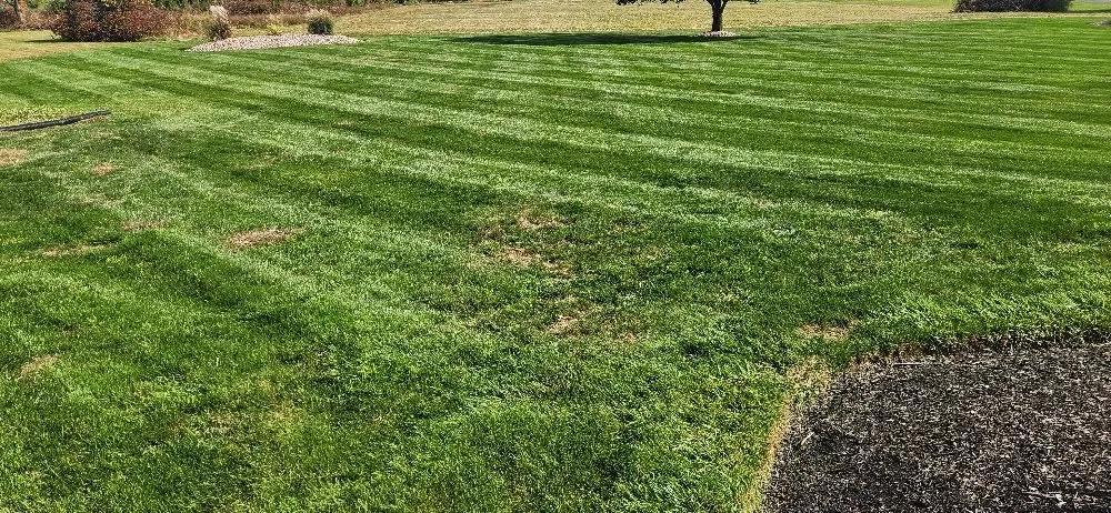 Custom landscape installation in Columbus, OH by Morales Landscape