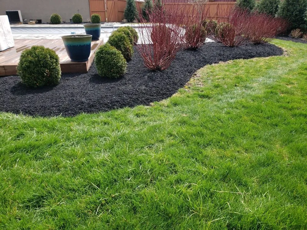 Top-rated landscape installation for homes across Columbus, OH - Morales Landscape