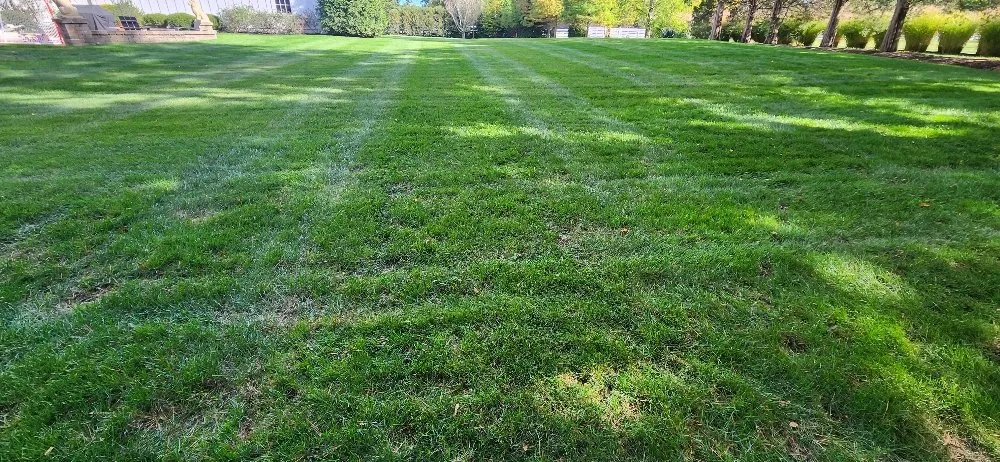 Professional lawn care service for residential properties across Columbus, OH - Morales Landscape