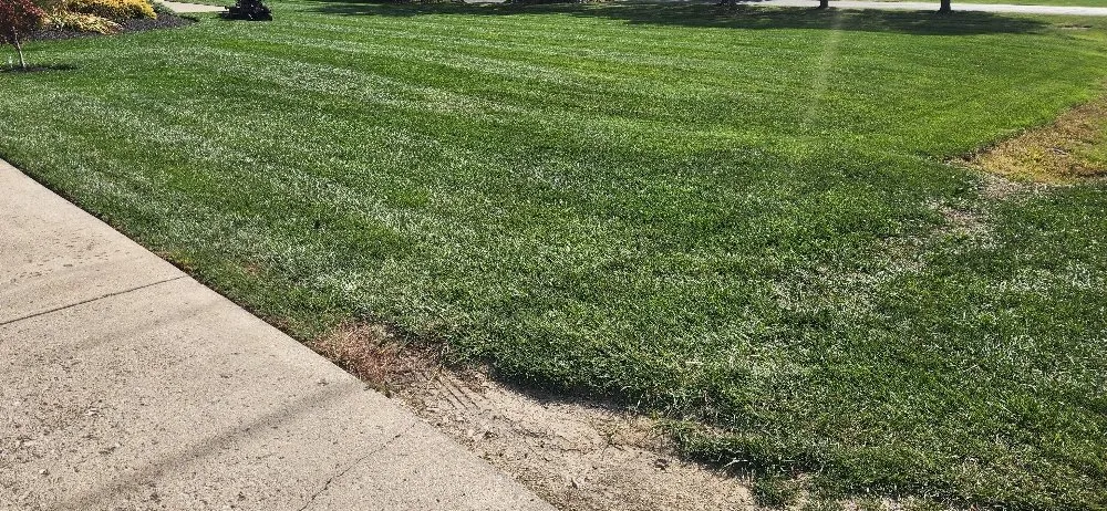 Local lawn mowing service for residential properties in Columbus, OH by Morales Landscape