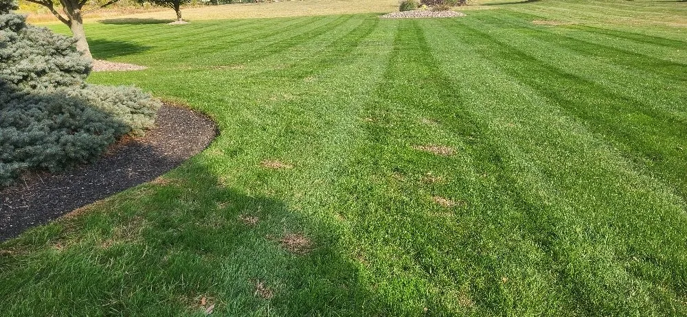 Expert landscape installation near you in Columbus, OH by Morales Landscape
