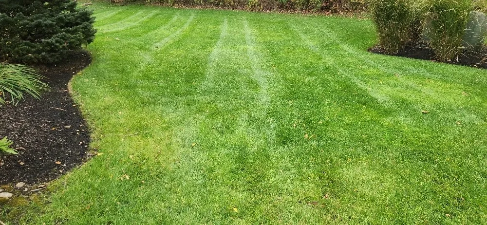 Professional residential landscaping in Columbus, OH - Morales Landscape