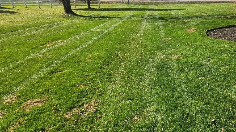 Local outdoor landscaping in Columbus, OH by Morales Landscape