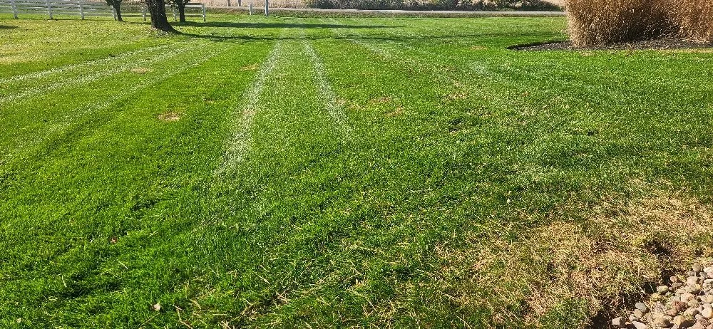 Local lawn mowing service for outdoor upgrades across Columbus, OH - Morales Landscape