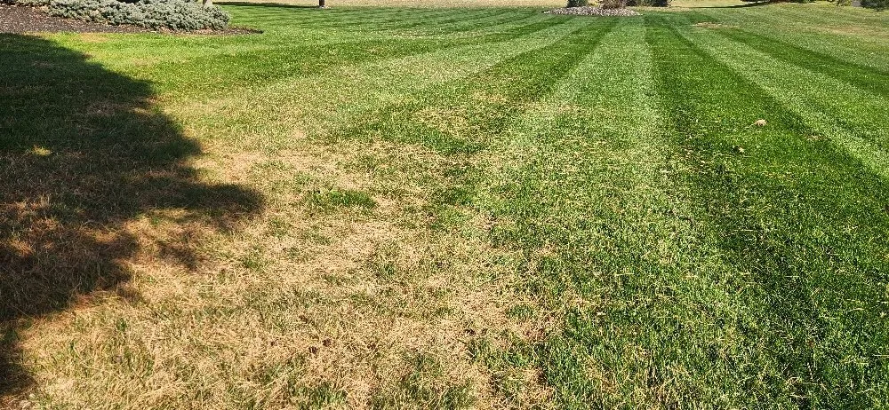 Top-rated landscape installation for year-round maintenance across Columbus, OH - Morales Landscape