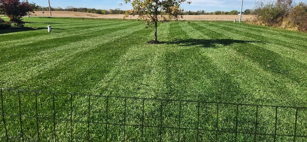 Professional yard maintenance for homes in Columbus, OH by Morales Landscape