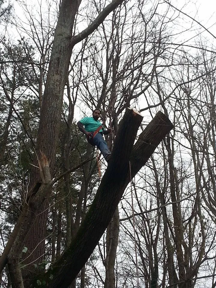 Affordable landscaping services in Snellville, GA - Morales Landscape Group & Tree Service