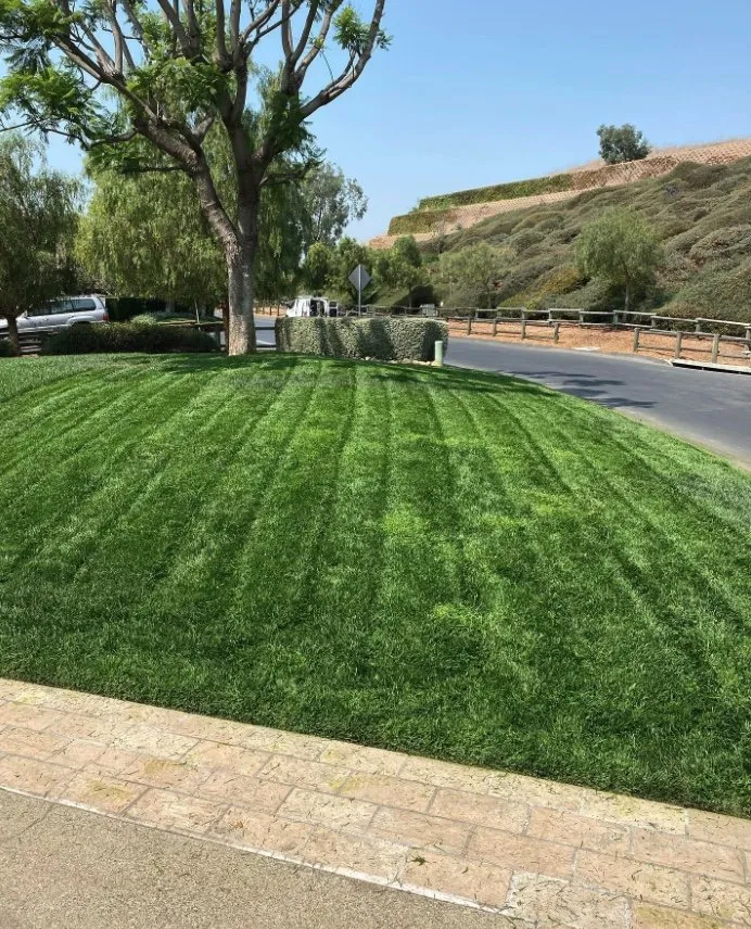 Top-rated residential landscaping in Santa Ana, CA by Morales Landscape Management