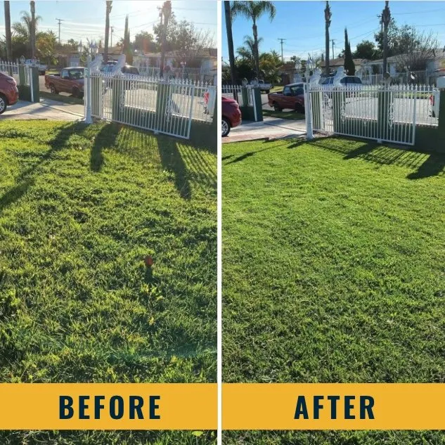 Custom garden landscaping for beautiful yards across Santa Ana, CA - Morales Landscape Management