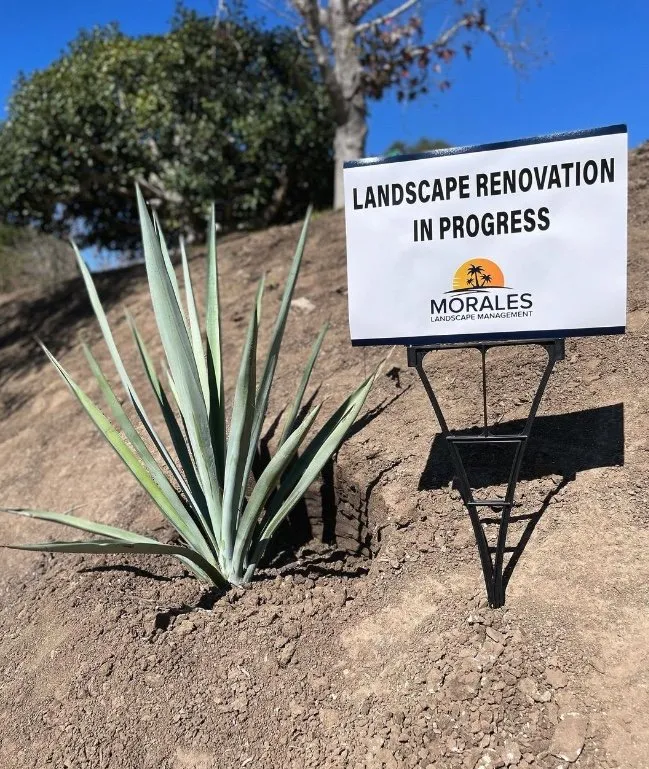 Reliable lawn mowing service experts serving Santa Ana, CA - Morales Landscape Management