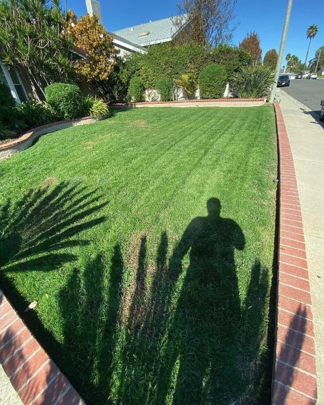 Top-rated outdoor landscaping in Santa Ana, CA by Morales Landscape Management