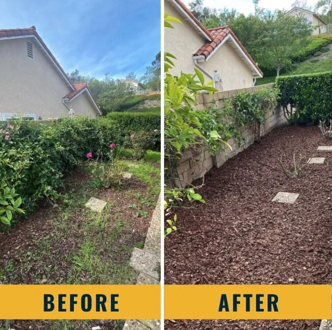 Professional garden landscaping in Santa Ana, CA by Morales Landscape Management