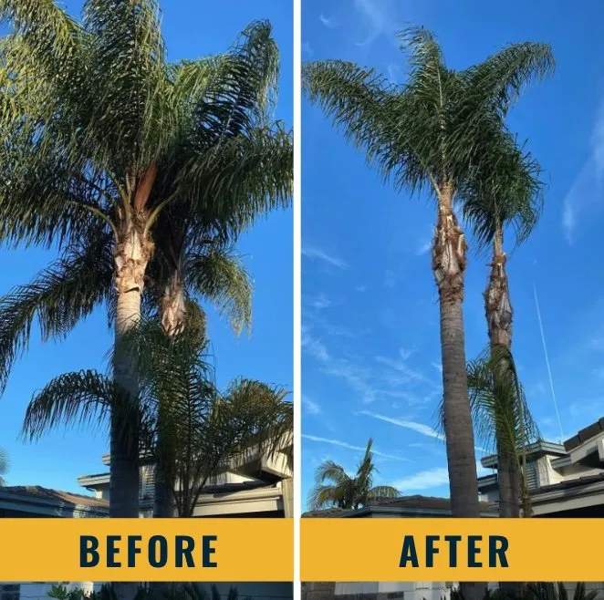 Top-rated garden landscaping in Santa Ana, CA by Morales Landscape Management