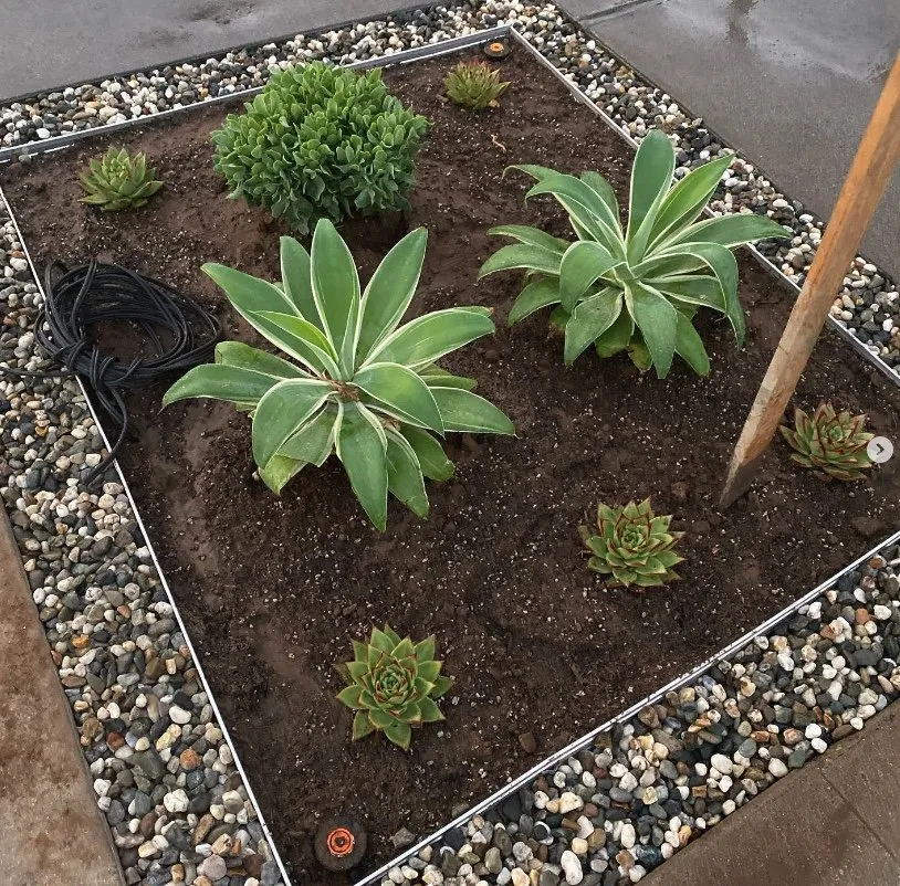 Trusted landscape installation in Santa Ana, CA - Morales Landscape Management