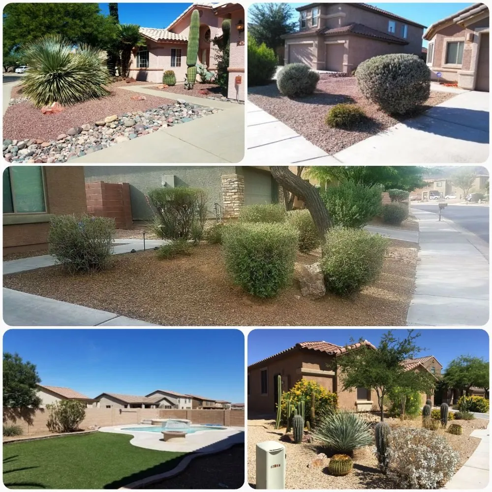 Top-rated landscaping services experts serving Tucson, AZ - Morales Landscapers