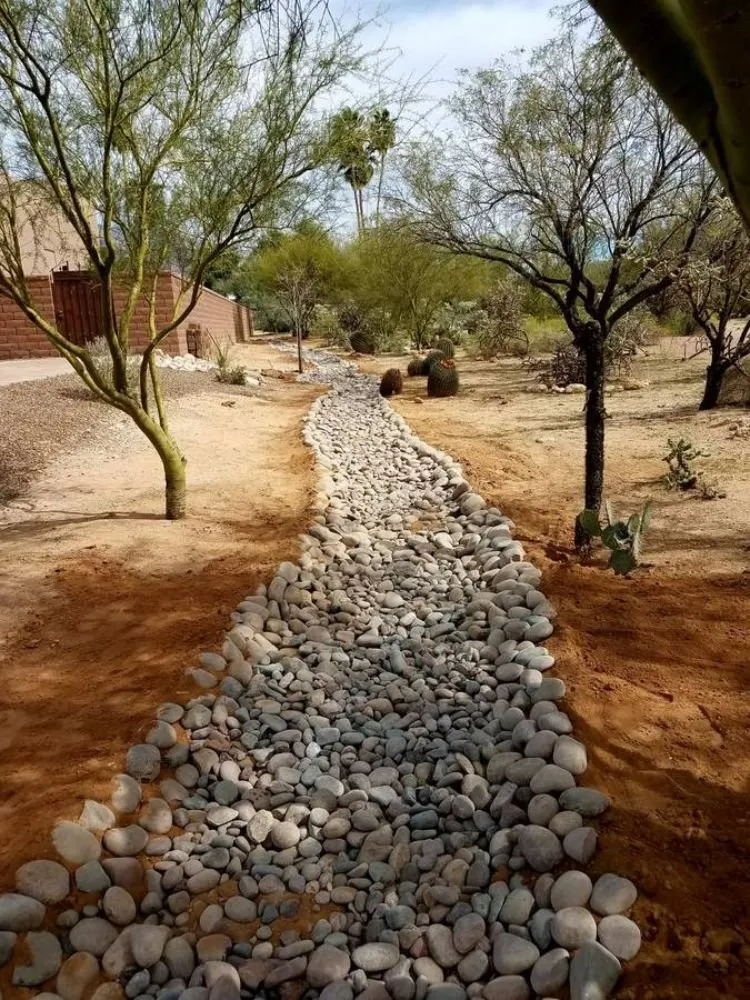 Reliable yard cleanup service near you in Tucson, AZ by Morales Landscapers