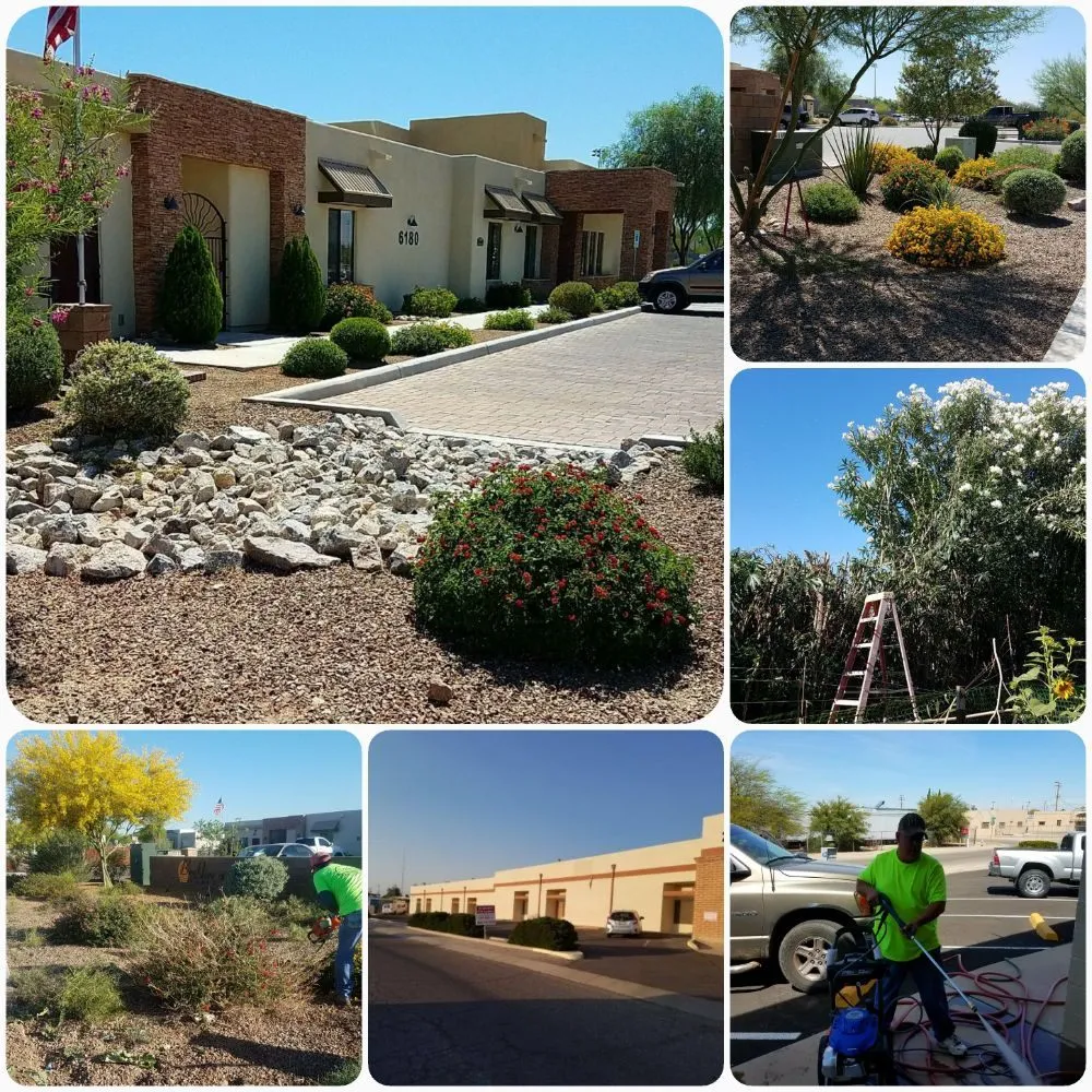 Professional yard cleanup service in Tucson, AZ by Morales Landscapers