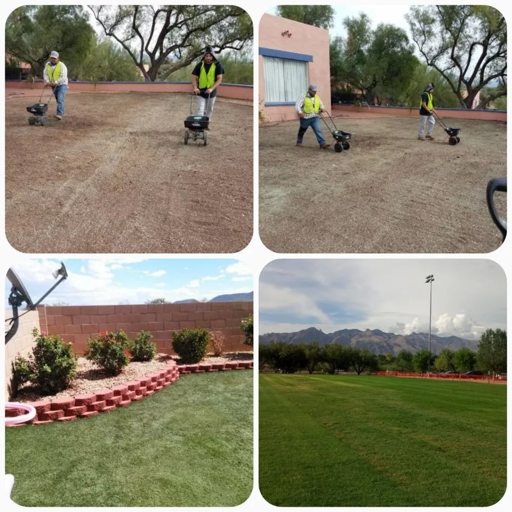 Expert landscape design in Tucson, AZ - Morales Landscapers