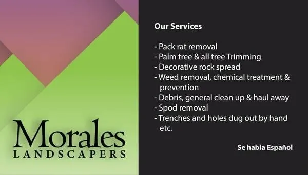 Professional outdoor landscaping for beautiful yards in Tucson, AZ by Morales Landscapers