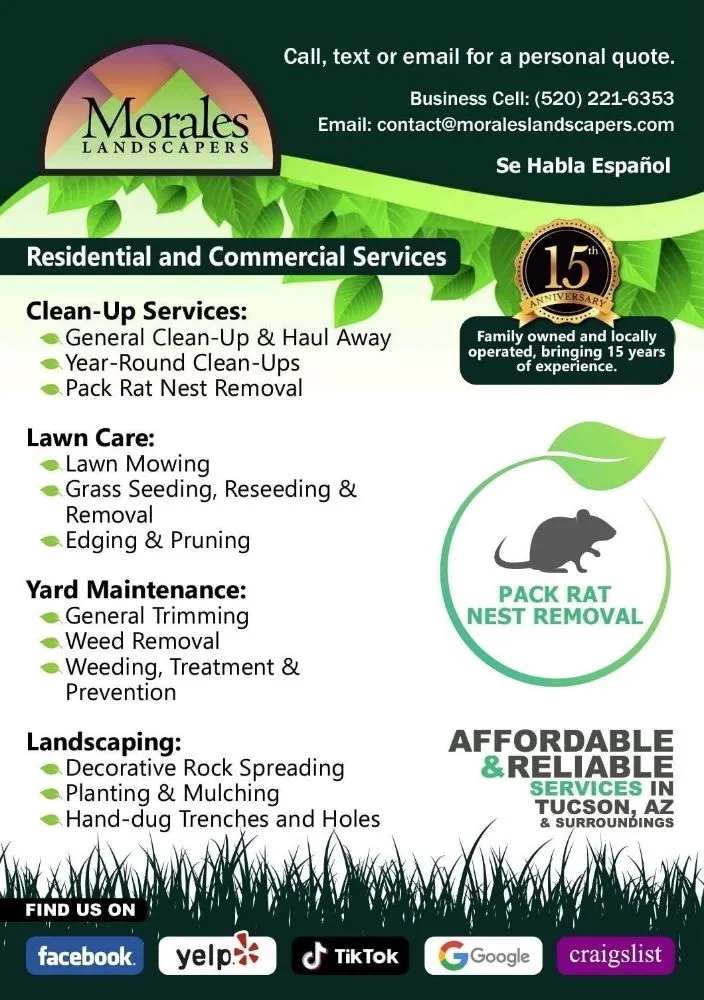 Reliable yard cleanup service for beautiful yards across Tucson, AZ - Morales Landscapers
