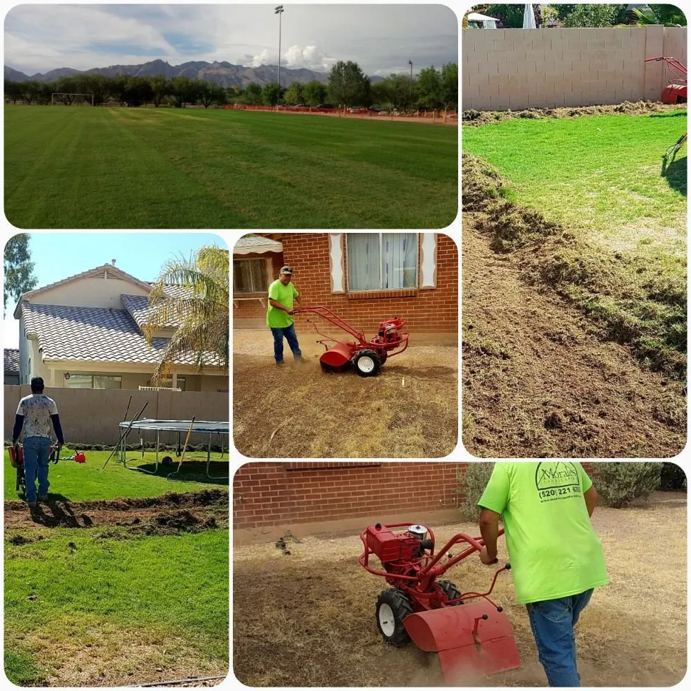 Affordable outdoor landscaping in Tucson, AZ - Morales Landscapers