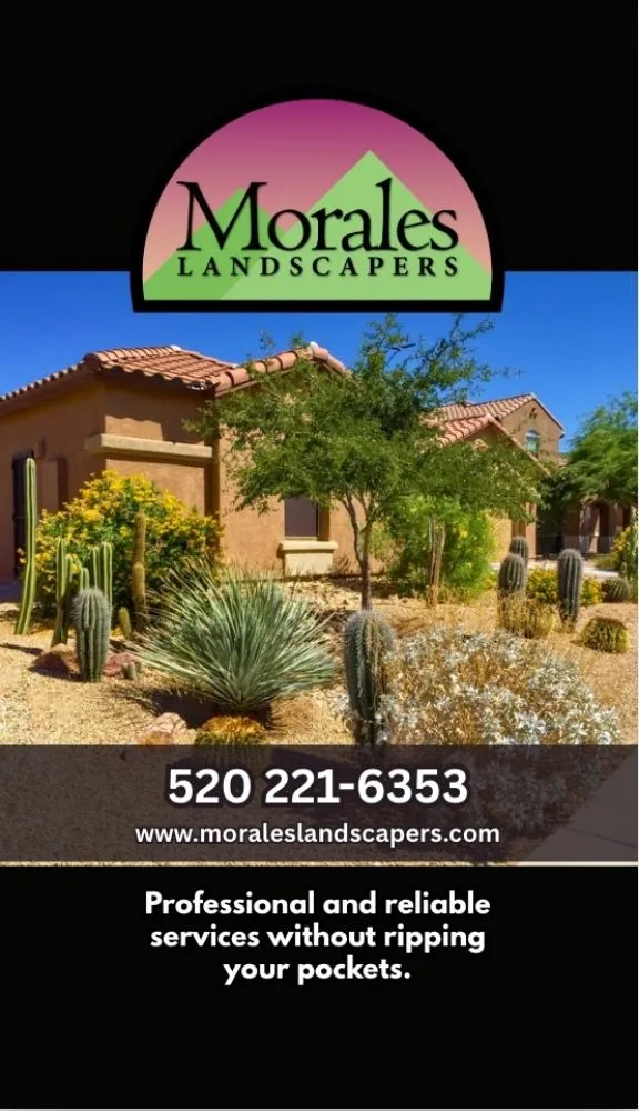 Professional yard cleanup service near you across Tucson, AZ - Morales Landscapers