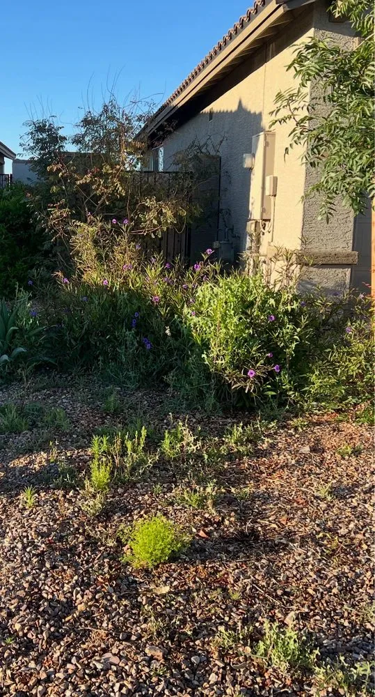 Reliable outdoor landscaping experts serving Phoenix, AZ - Morales Landscapes