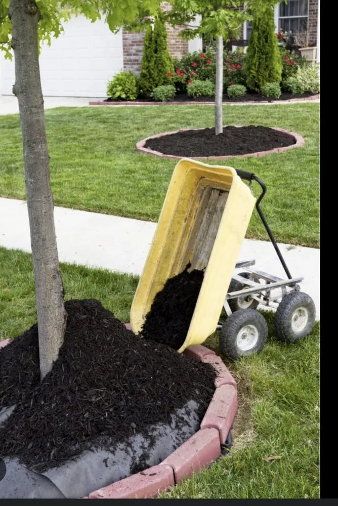 Top-rated garden landscaping near you across Greenville, SC - Morales Landscaping & Concrete