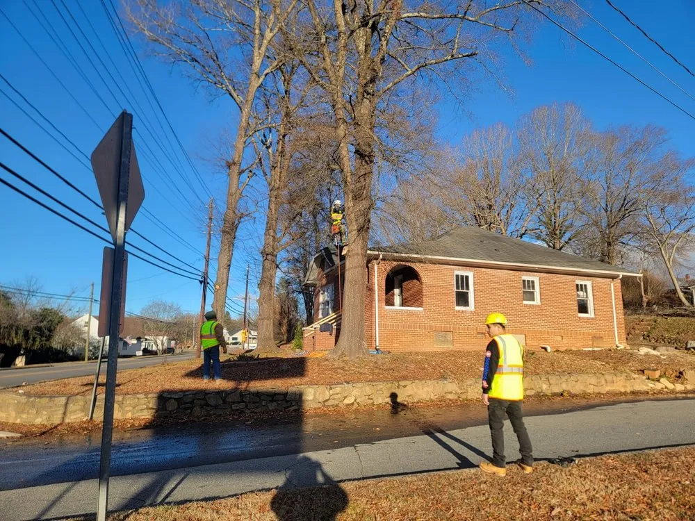 Top-rated lawn care service for homes in Marion, NC by Morales Landscaping & Concrete